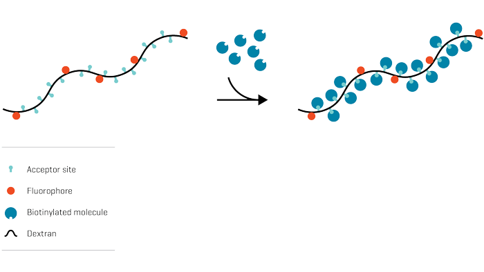 Klickmer Technology Figure