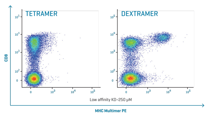 MHC Dextramer Low Affinity Detection