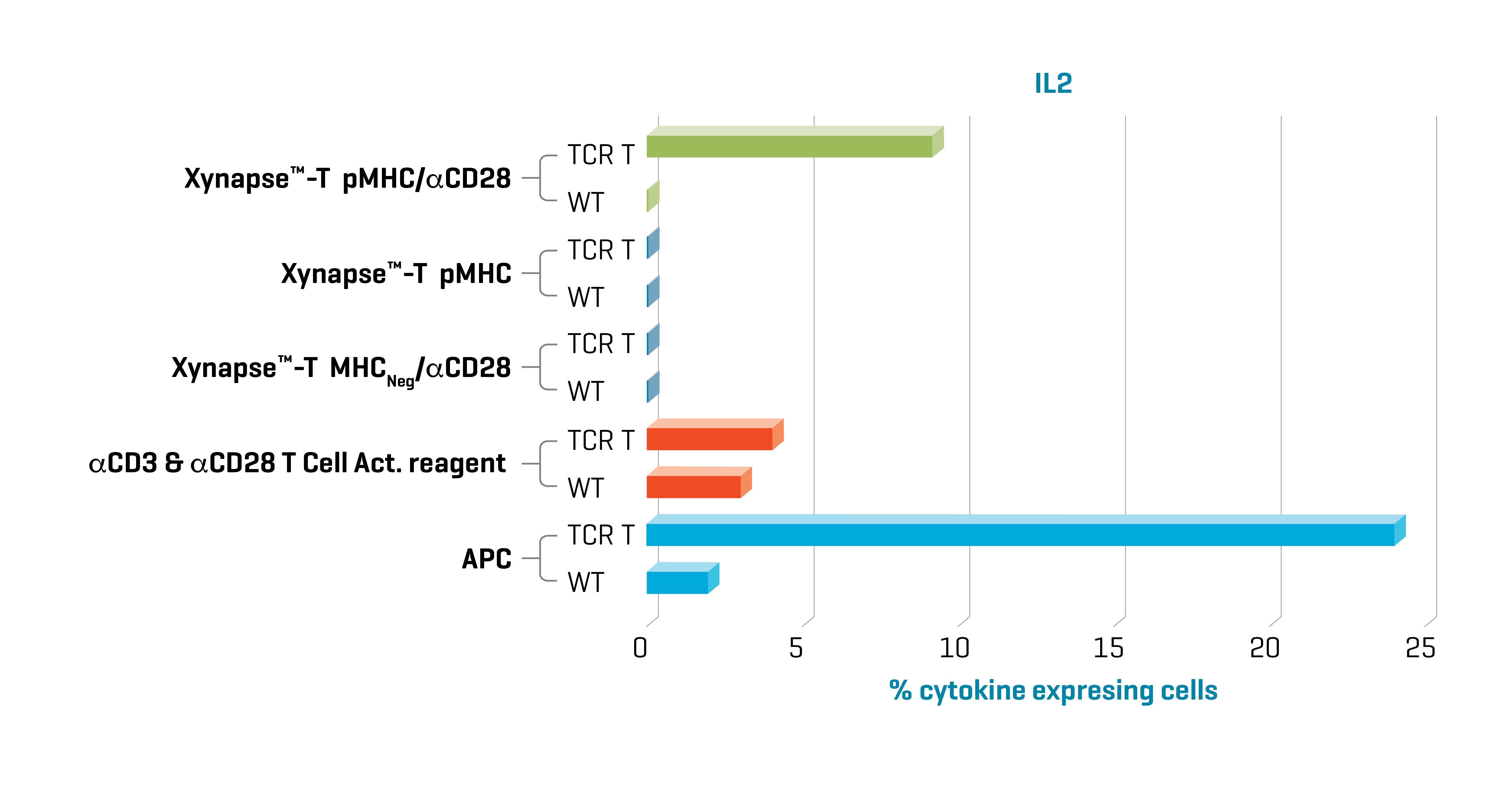 Figure 1. Xynapse™-T reagents stimulate TCR-engineered T cells to produce cytokines and upregulate activation surface markers (data not shown) in an antigen-specific and CD28 dependent manner. Data kindly provided by collaborator.